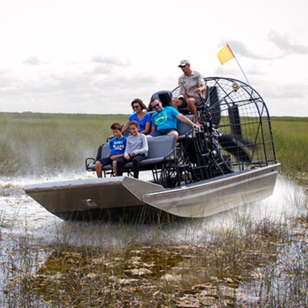 Daily Airboat Tours