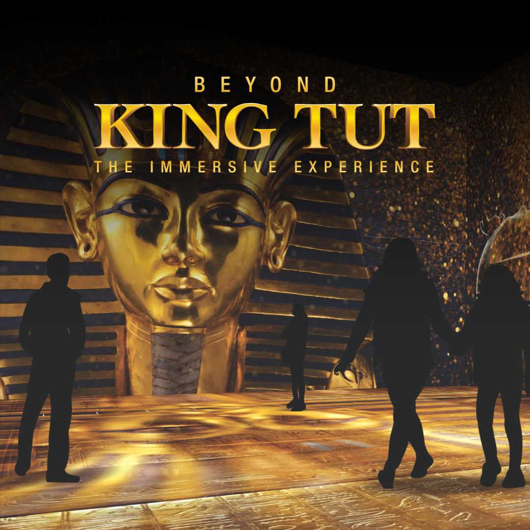 Beyond King Tut: The Immersive Experience