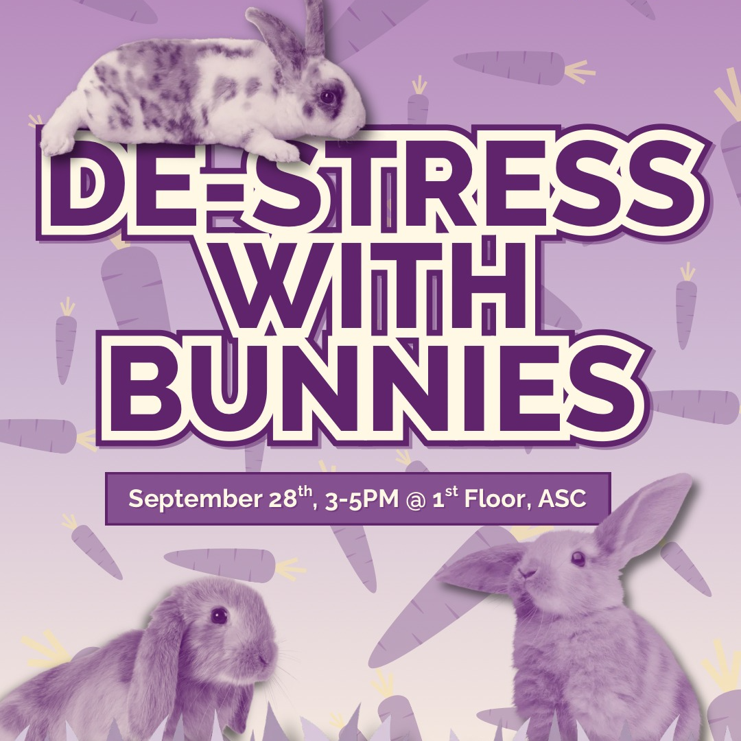 De-stress with Bunnies