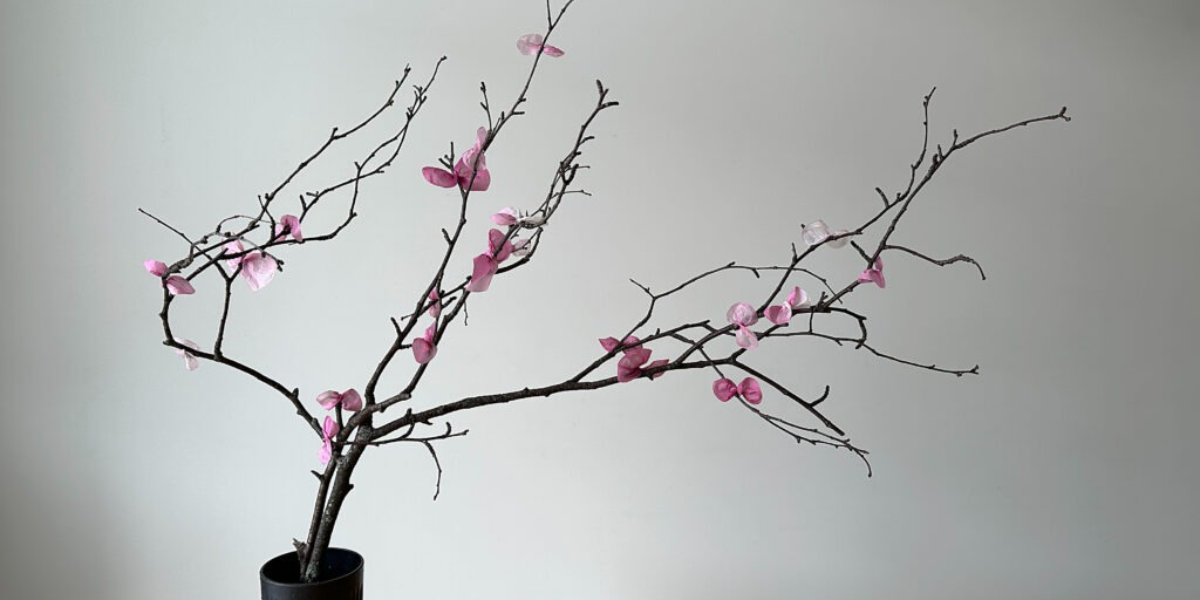 Paper Dyeing: Cherry Blossoms Paper Dyeing: Cherry Blossoms