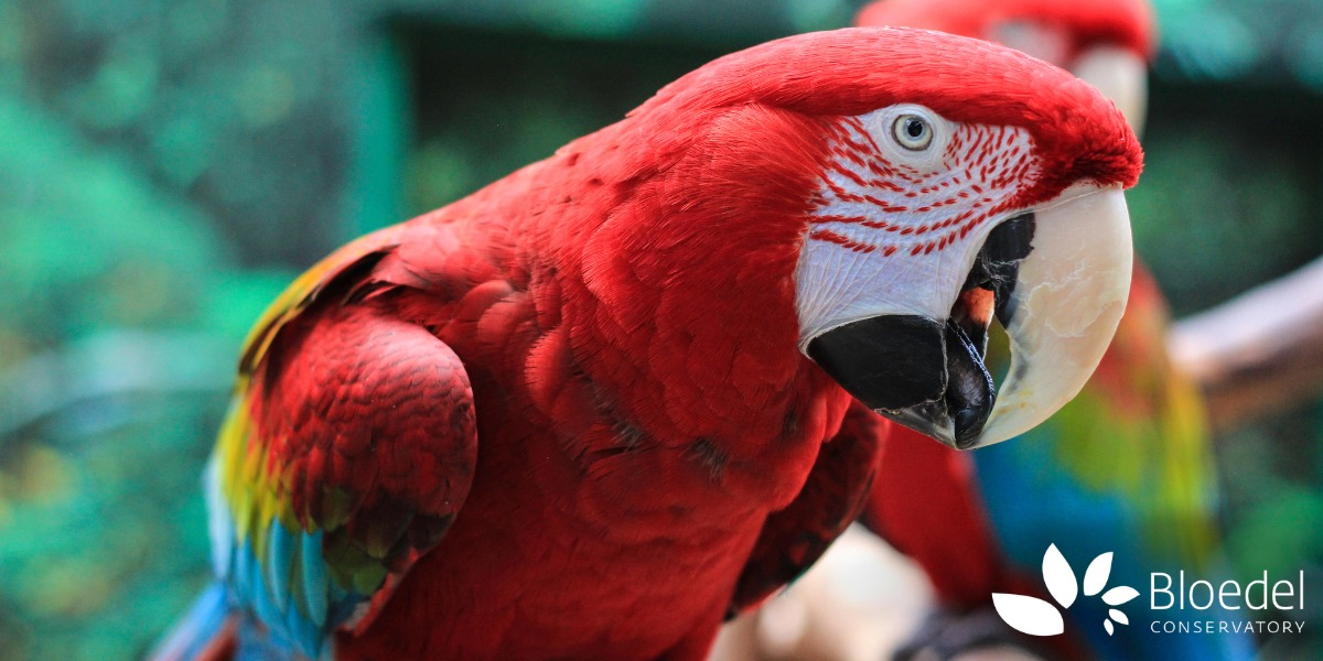 Bloedel Conservatory September 2024 Bloedel Conservatory
