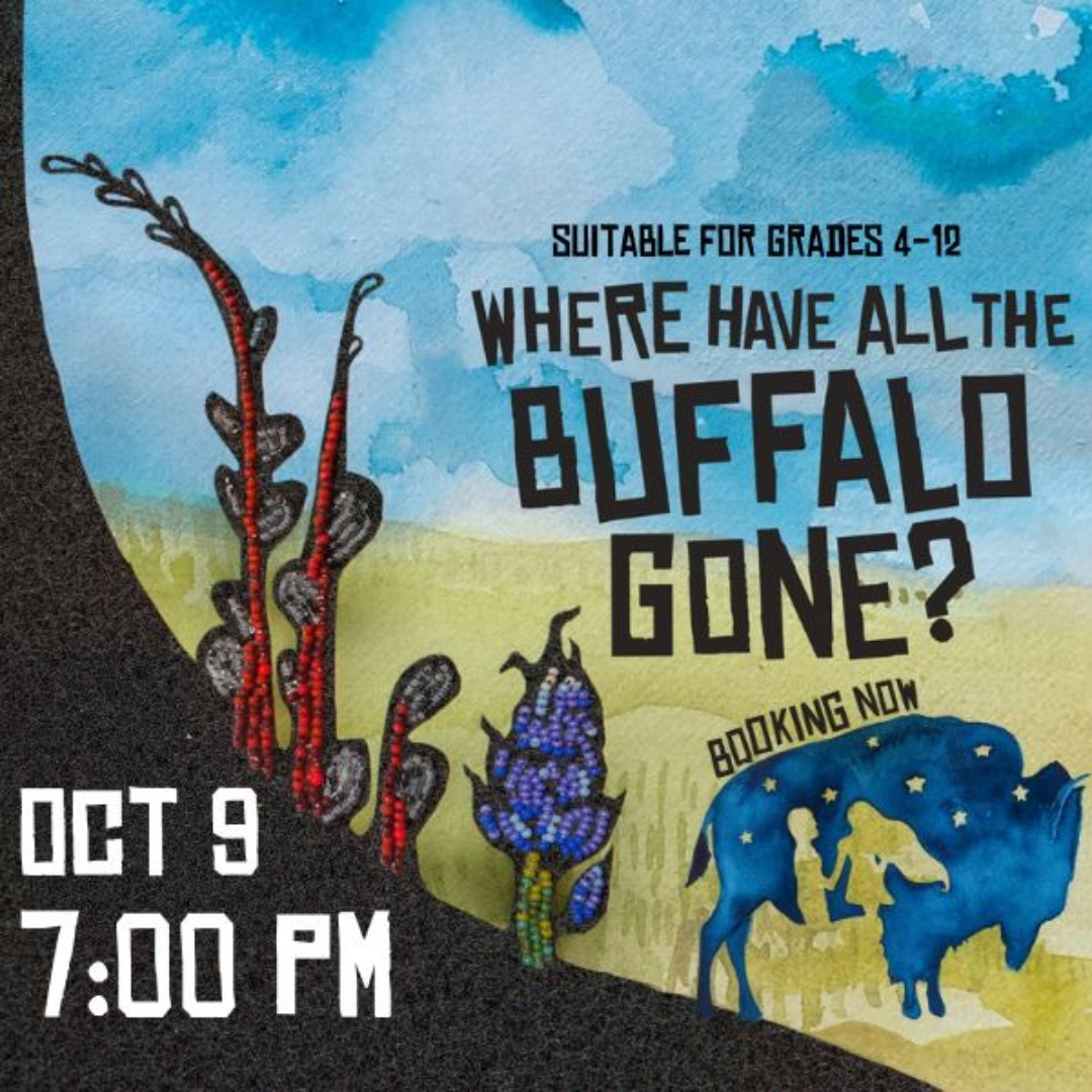 Where Have All The Buffalo Gone