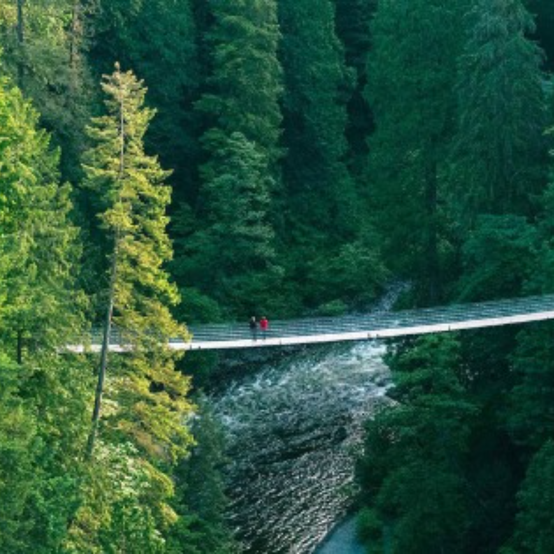 Capilano Suspension Bridge Park Capilano Suspension Bridge Park North Vancouver Aug 24