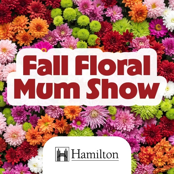Fall Floral Mum Show - School Tour Bookings Monday