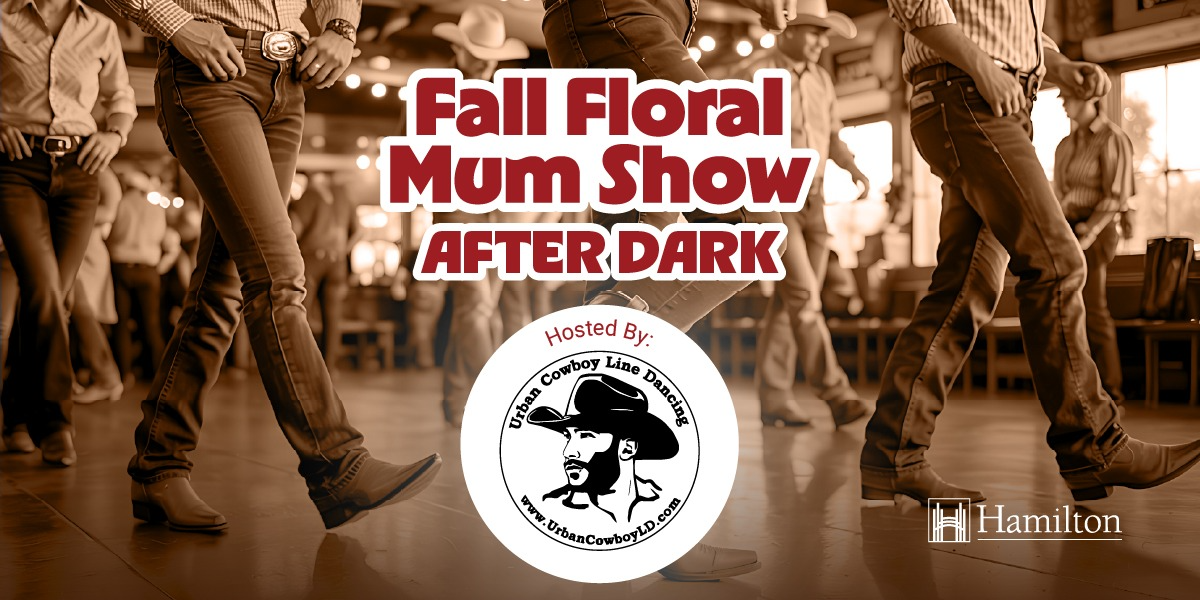 Fall Floral Mum Show- After Dark Line Dancing