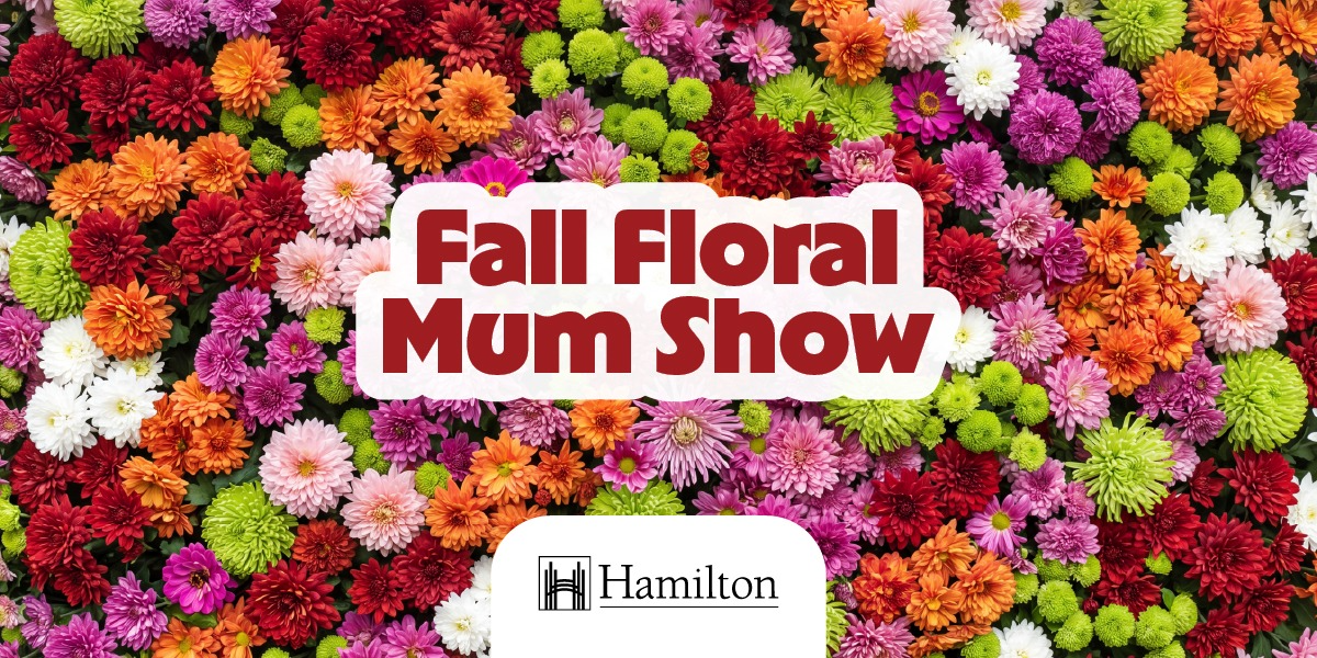 Fall Floral Mum Show