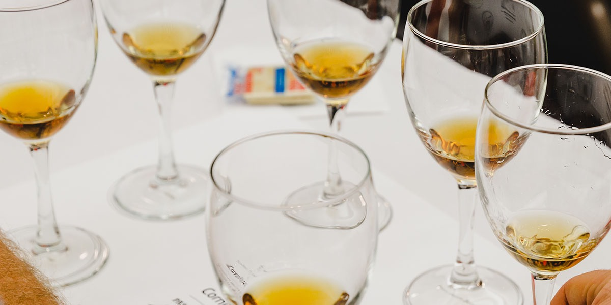 Drink Seminar: Inside Scoop: Australian and South African Wine Revolutions Drink Seminar: Inside Scoop: Australian and South African Wine Revolutions