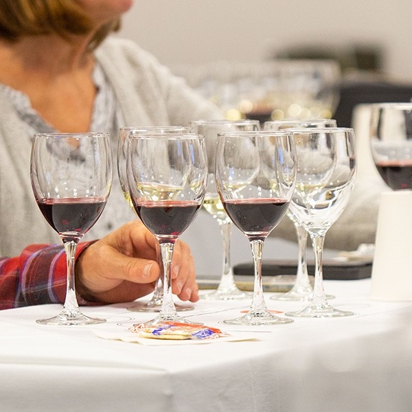 Drink Seminar: Under the Super Tuscan Sun