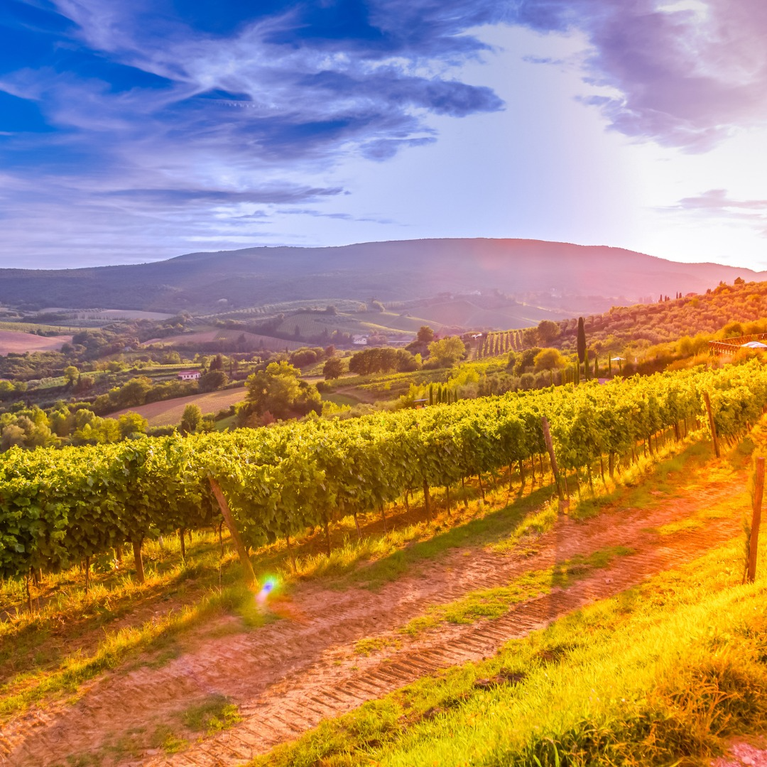 Drink Seminar: Sip Into the New California