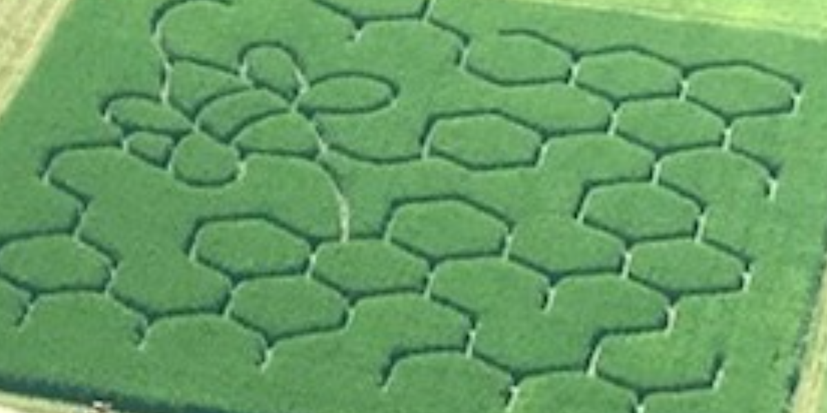 Corn Maze Tickets