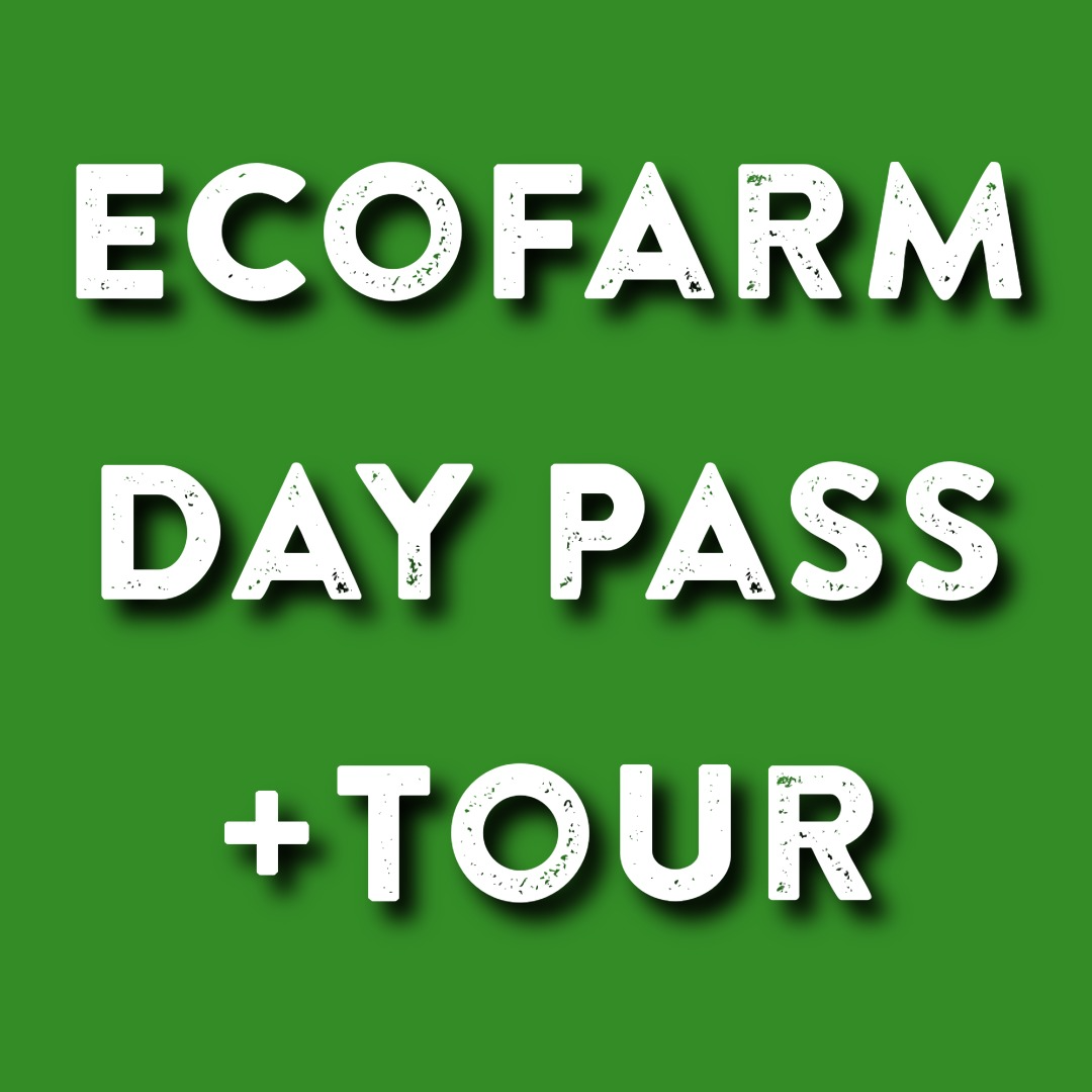 Dairy Barn Day Pass + Guided Tour
