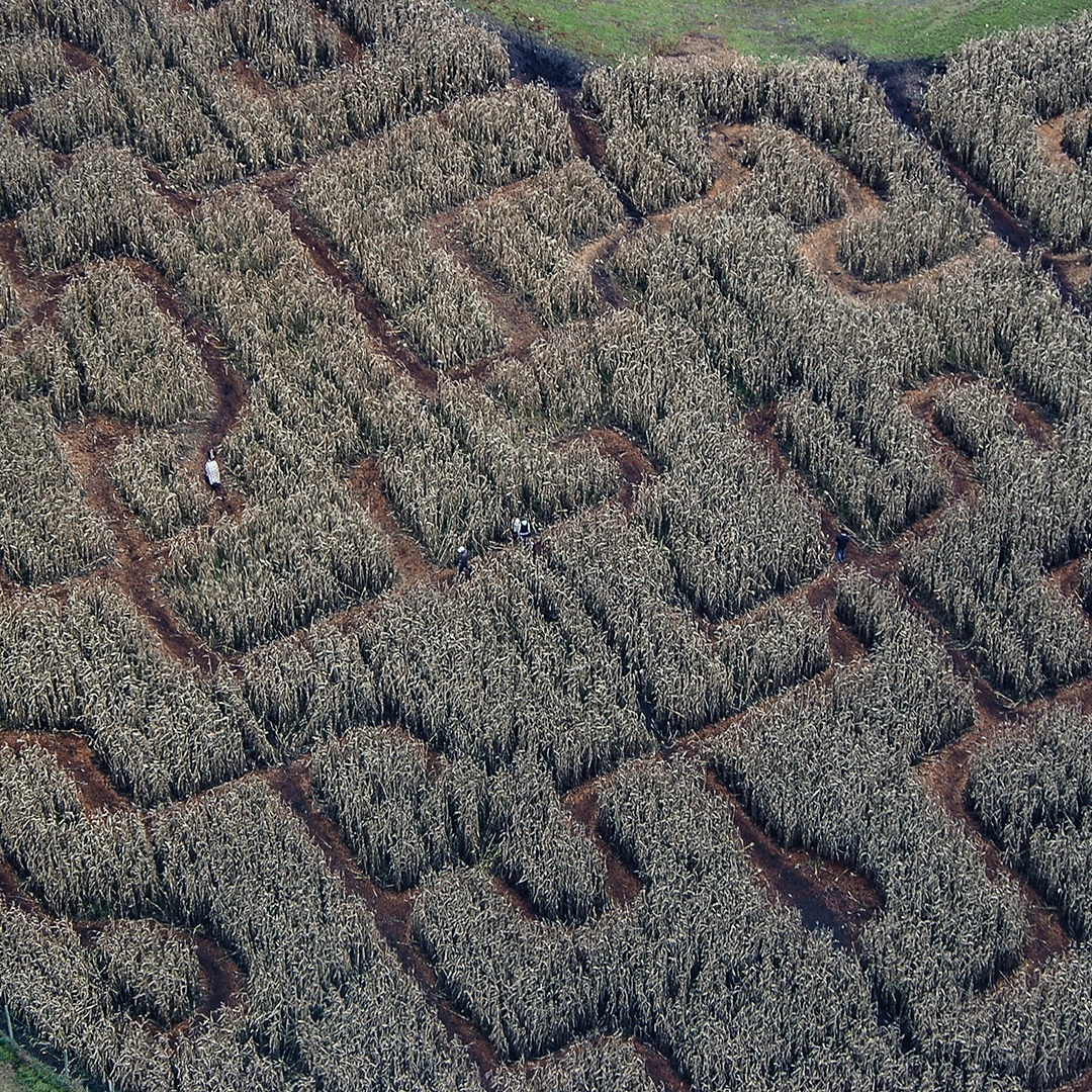 October Family Fun at Galey Farms Oct 3