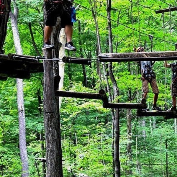 Treetop Trekking