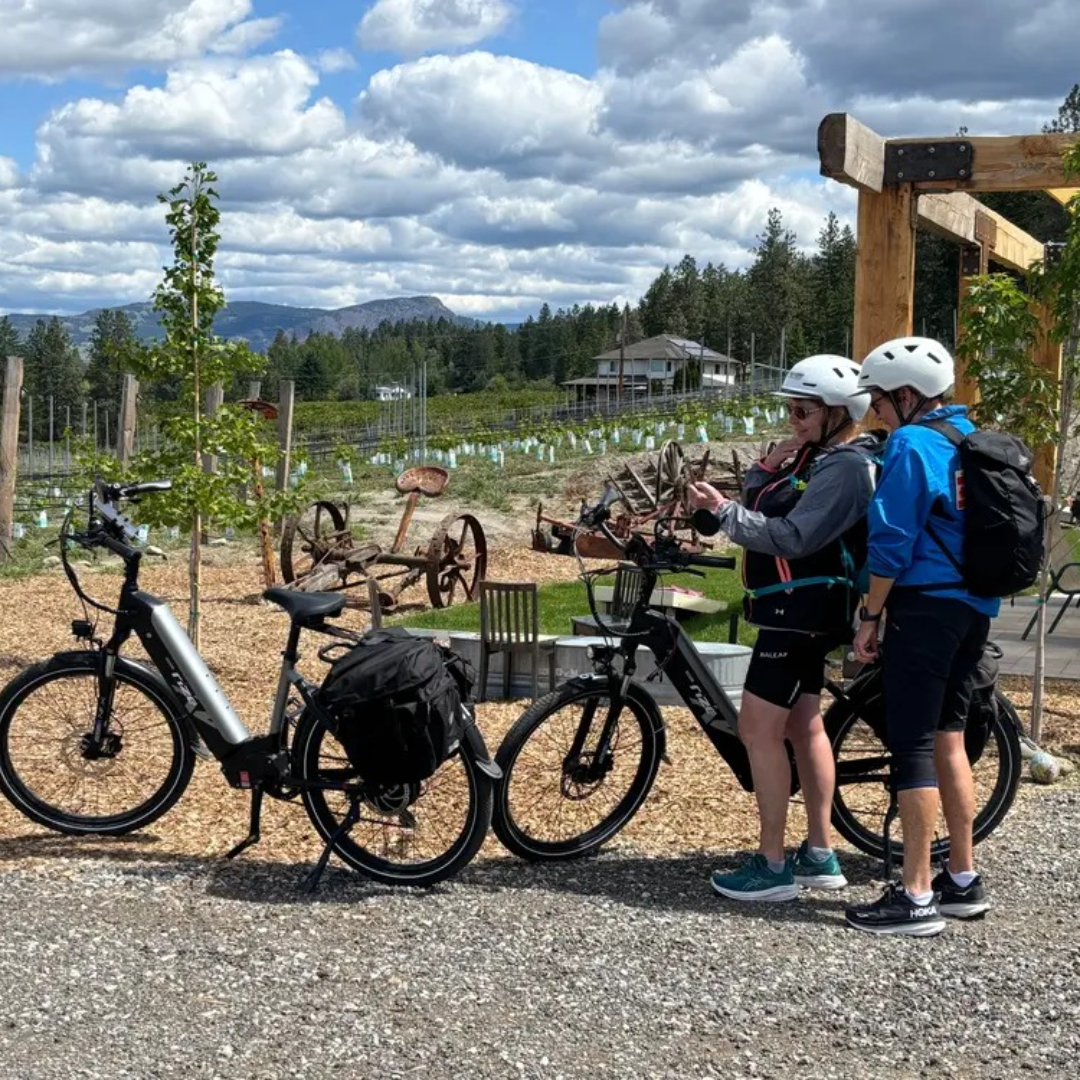 E-Bike Wine Tour with Tastings & Lunch