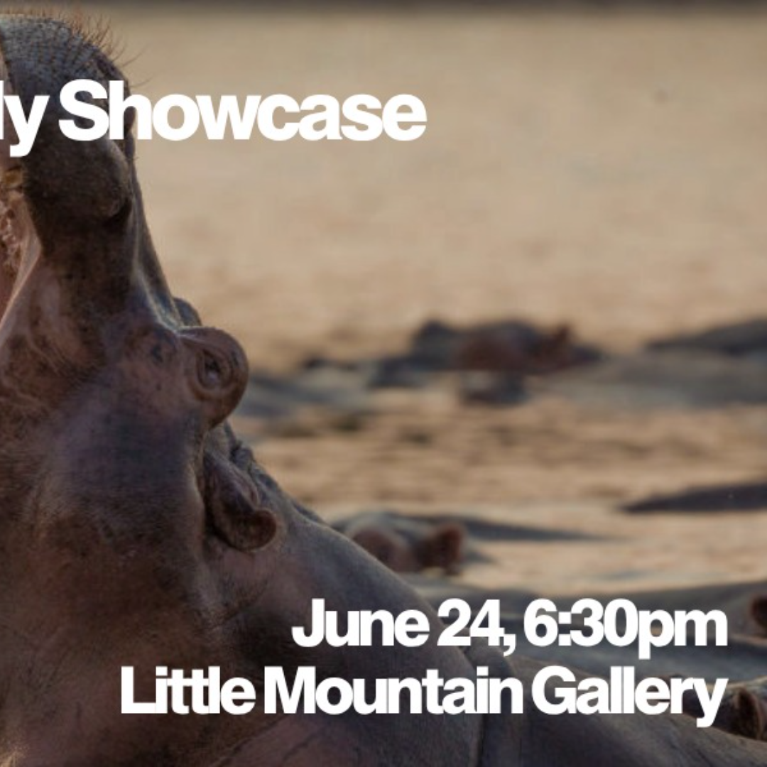 Blind Tiger Student Showcase