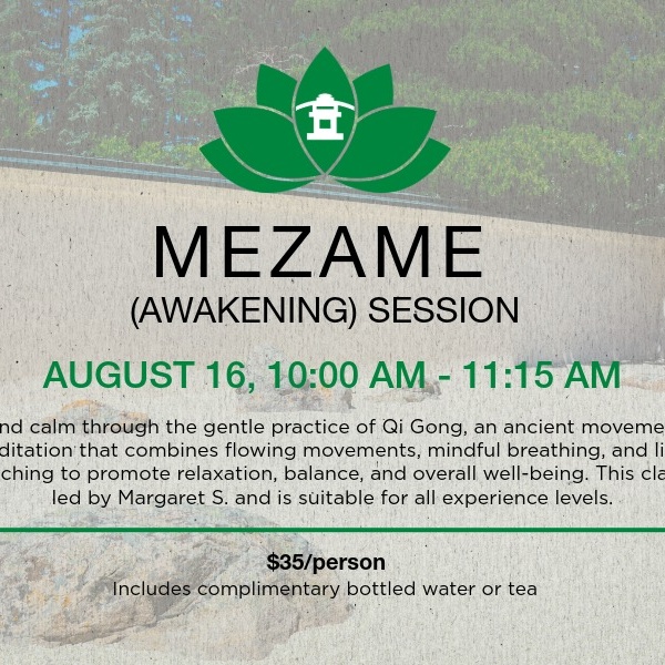 Mezame (Awakening) Session: Qigong