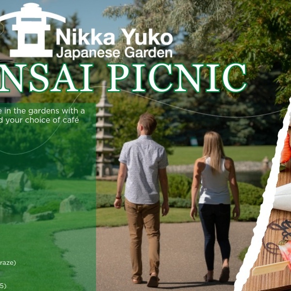 Zensai Picnic