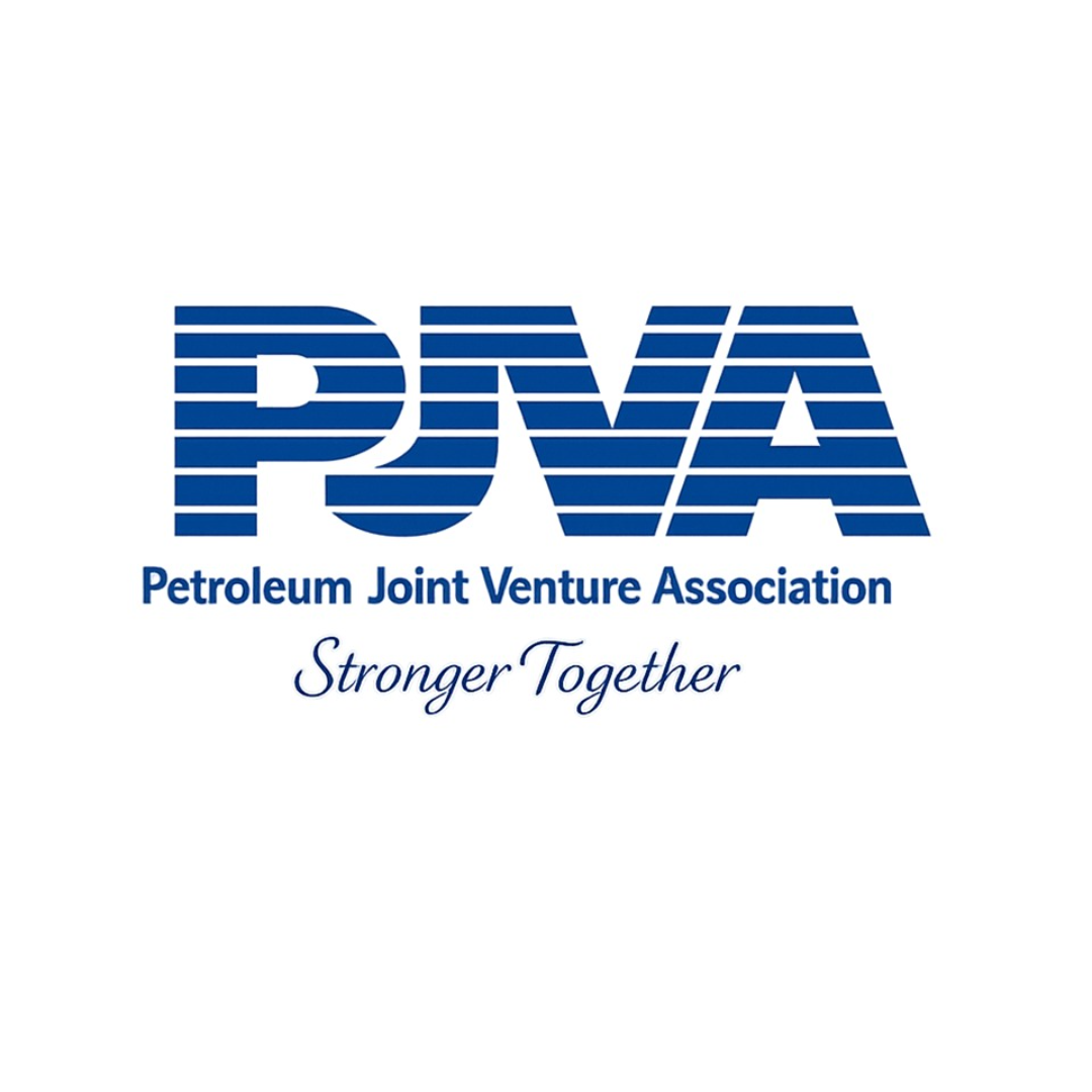 PJVA - LUNCHEON - NAHEED NENSHI - EMERGING ENERGY SECTOR ISSUES