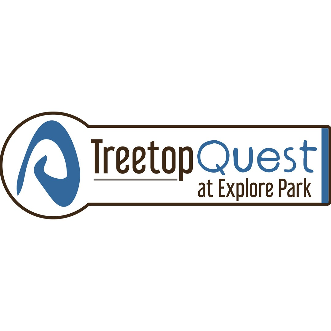 Treetop Quest