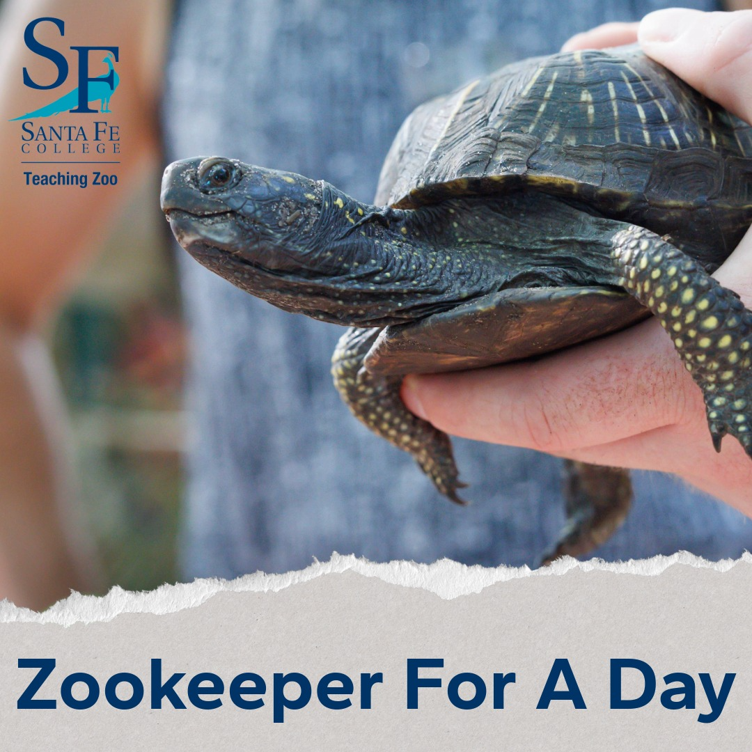 Zookeeper for a Day - Spring 2026