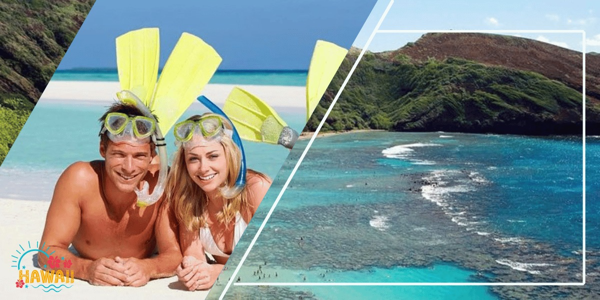 Hanauma Bay Snorkeling