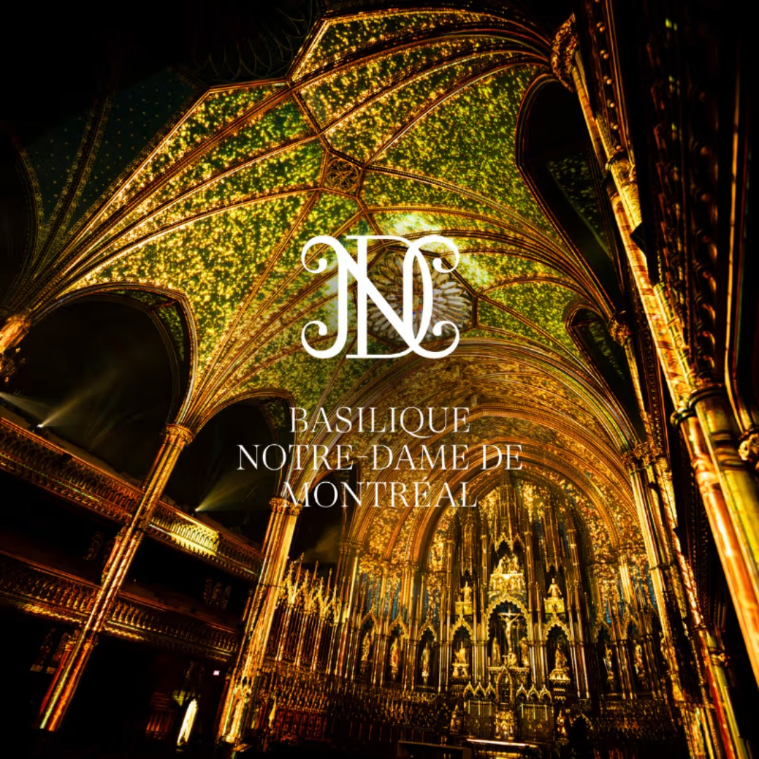 Combined Offer: Sightseeing Visit + The AURA Experience at the Notre-Dame Basilica