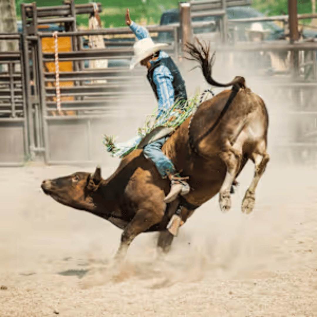 PBR: Canada National Finals - Friday
