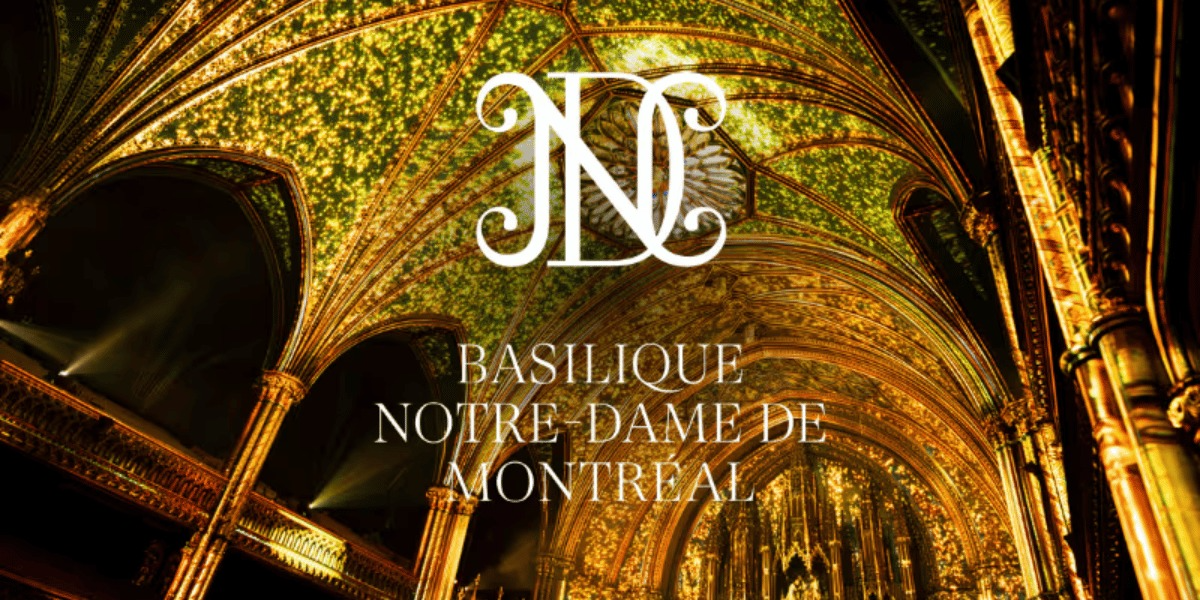 Combined Offer: Sightseeing Visit + The AURA Experience at the Notre-Dame Basilica