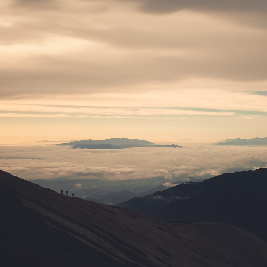 Route Planning and Navigation for Trail Runners