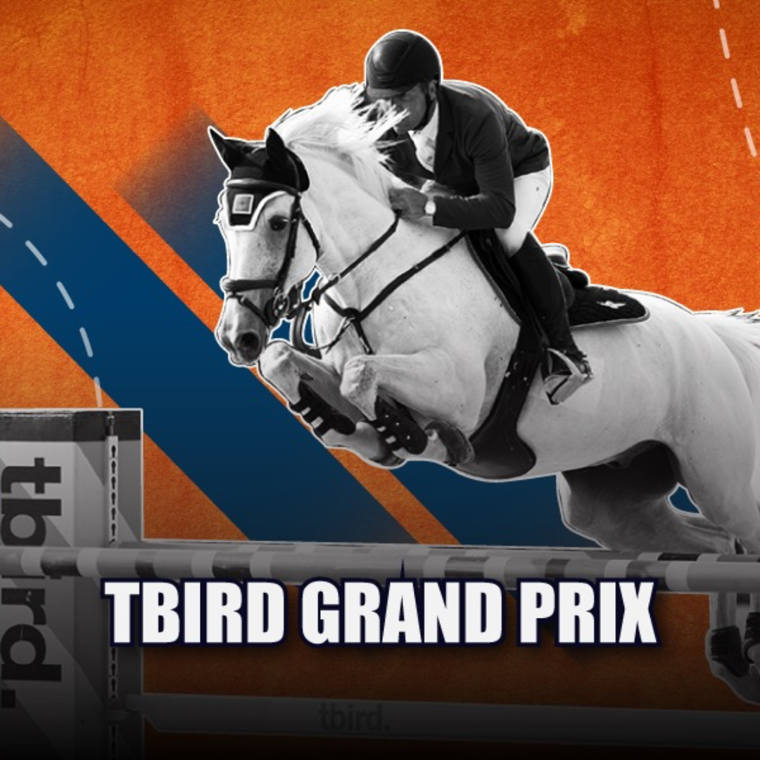 $10,000 1.40m tbird Grand Prix