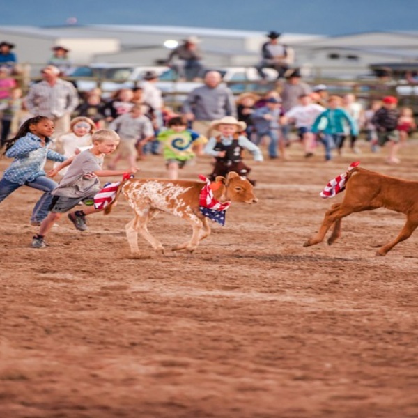 Teton Valley Rodeo Teton County Fairgrounds Driggs Aug 2, 2024