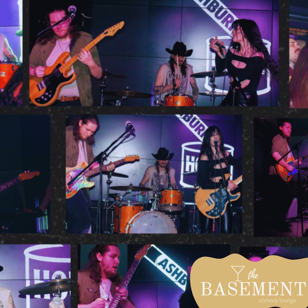 Ashburn House - Basement Takeover