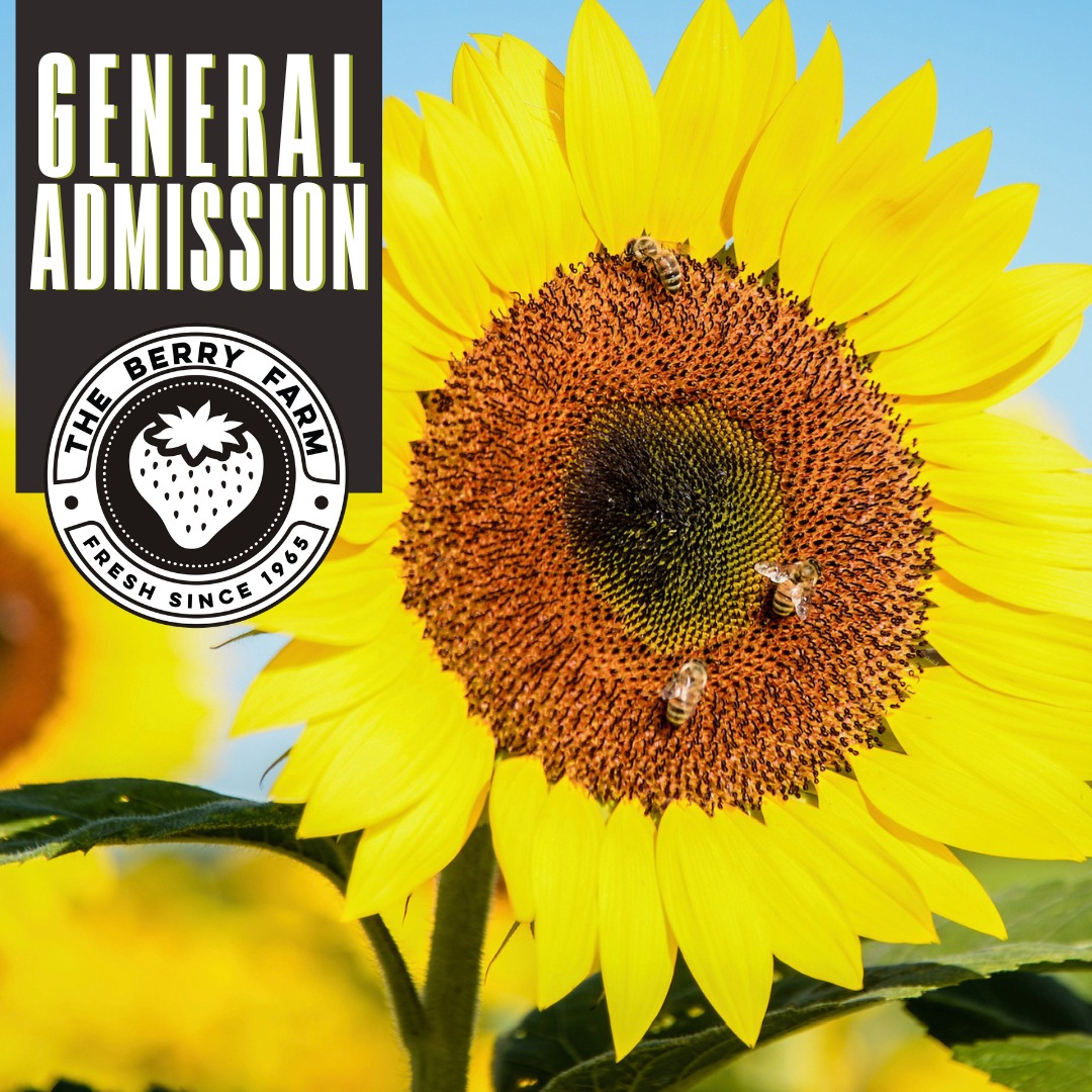 General Admission (Week Day 2)