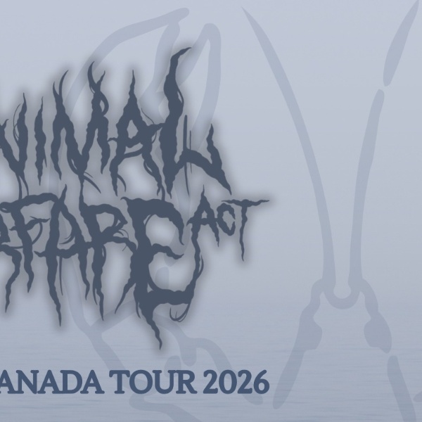 The Animal Warfare Act + Acromantula + Iron Wing