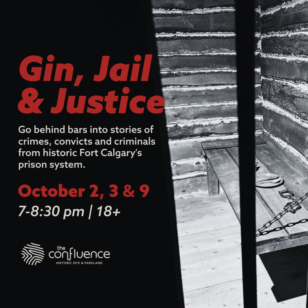 Gin, Jail & Justice