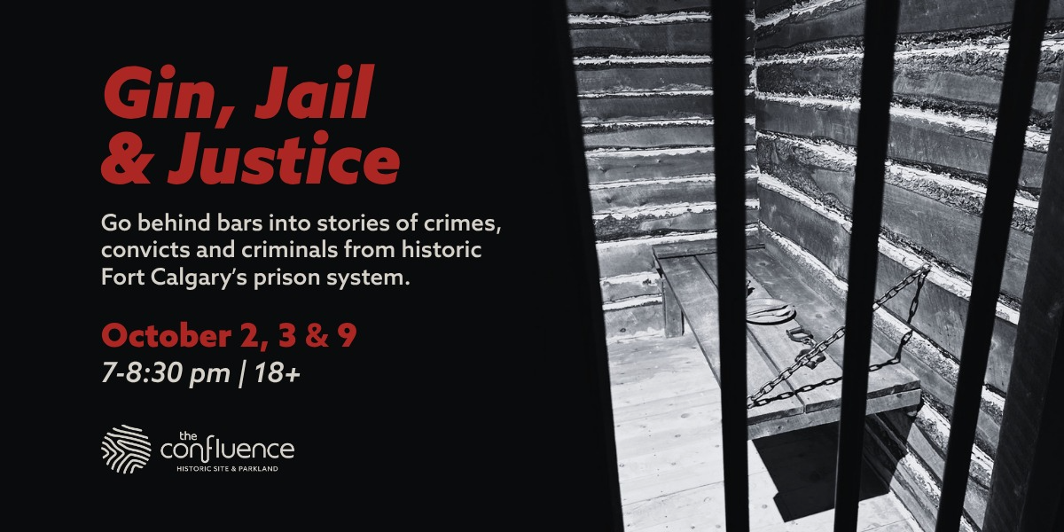 Gin, Jail & Justice