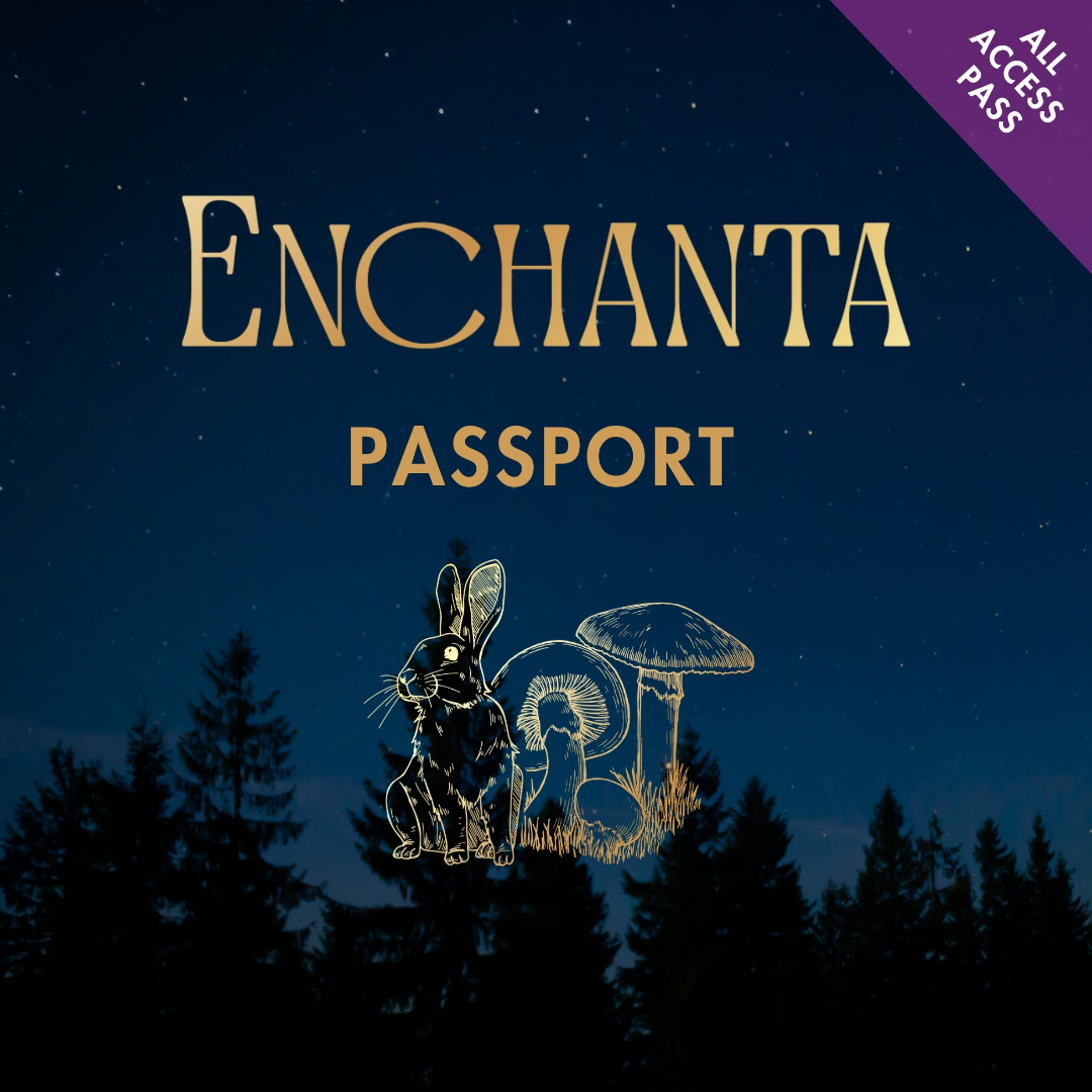 その他 OFFICIAL disneyana convention passport その他 OFFICIAL disneyana convention passport Official