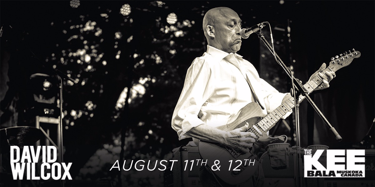 David Wilcox - Saturday August 12th