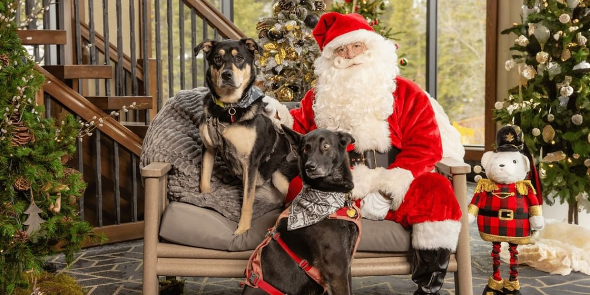 SPCA Pet Santa Photos Fundraiser SPCA Pet Santa Photos Fundraiser