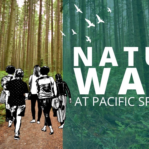 Nature Walk at Pacific Spirit Regional Park