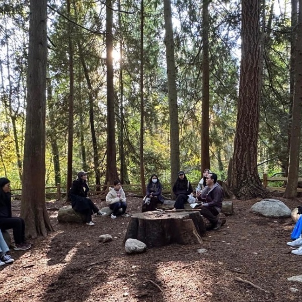 Forest Bathing 🦚