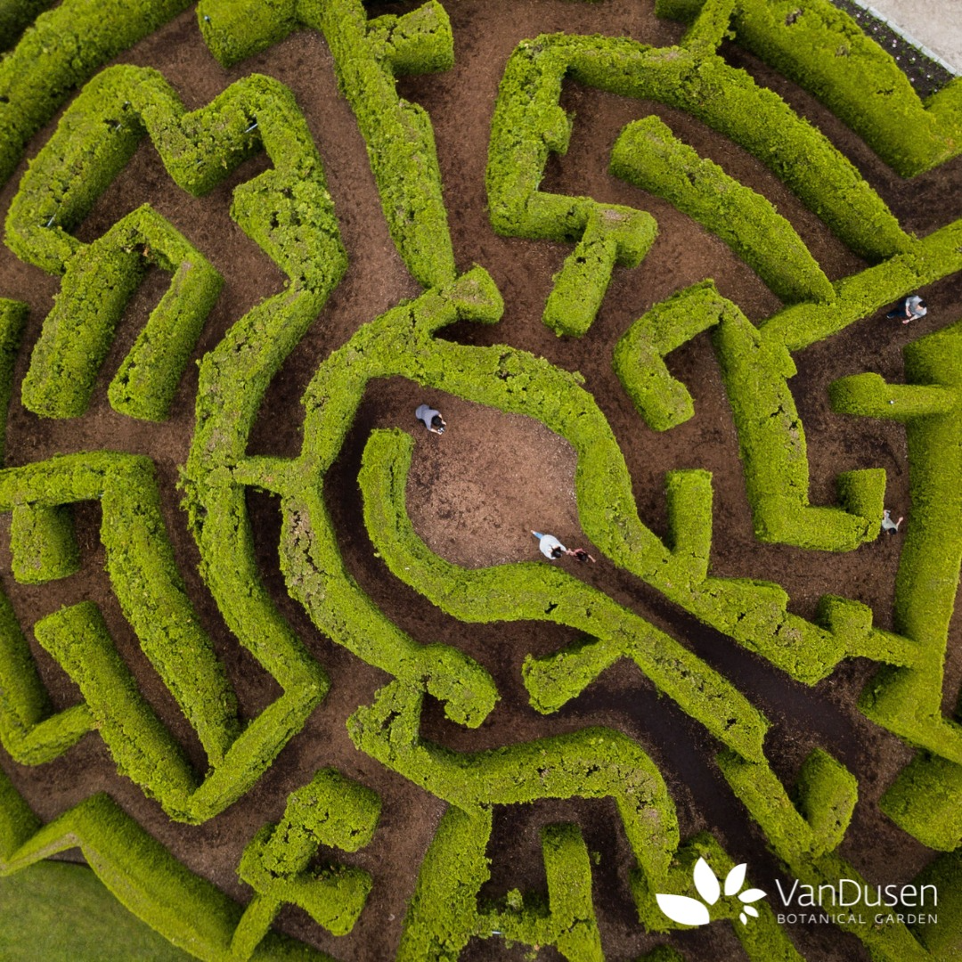 VanDusen Botanical Garden - April 2026