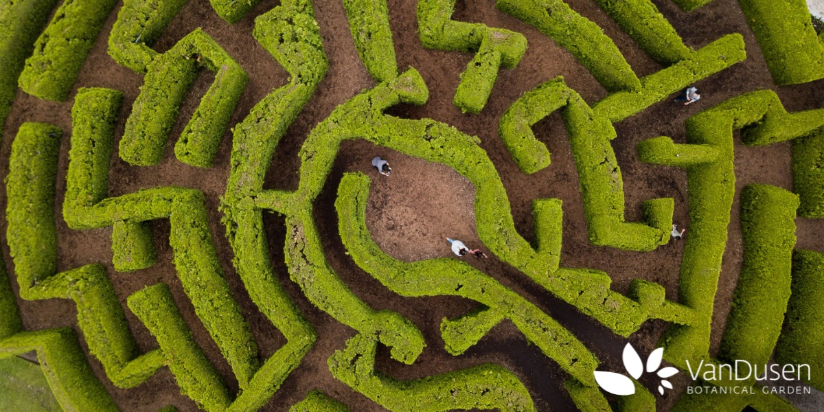 VanDusen Botanical Garden November 2024 VanDusen Botanical Garden