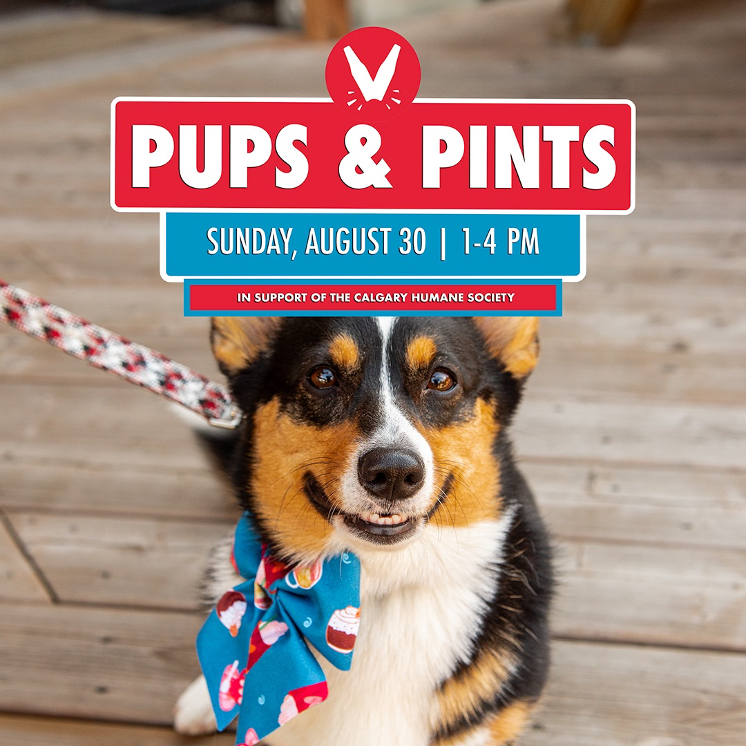 Pups & Pints at Village Brewery
