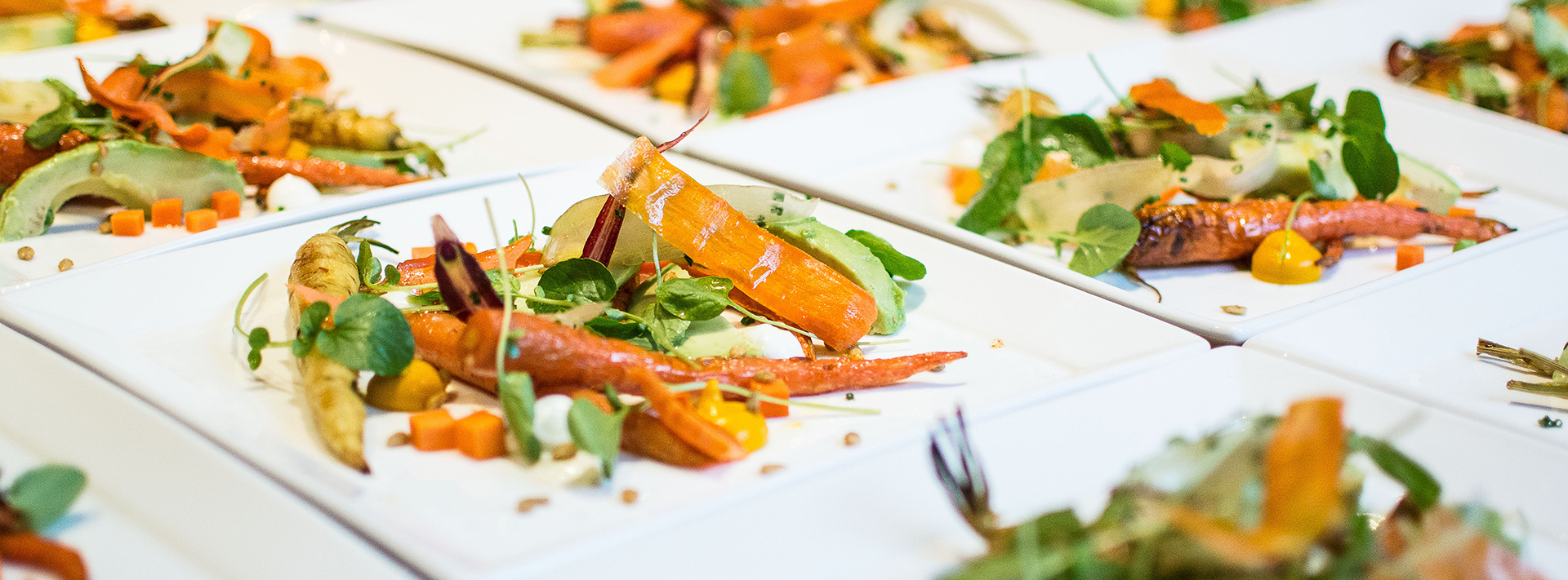 Nourish: Meatless Mondays