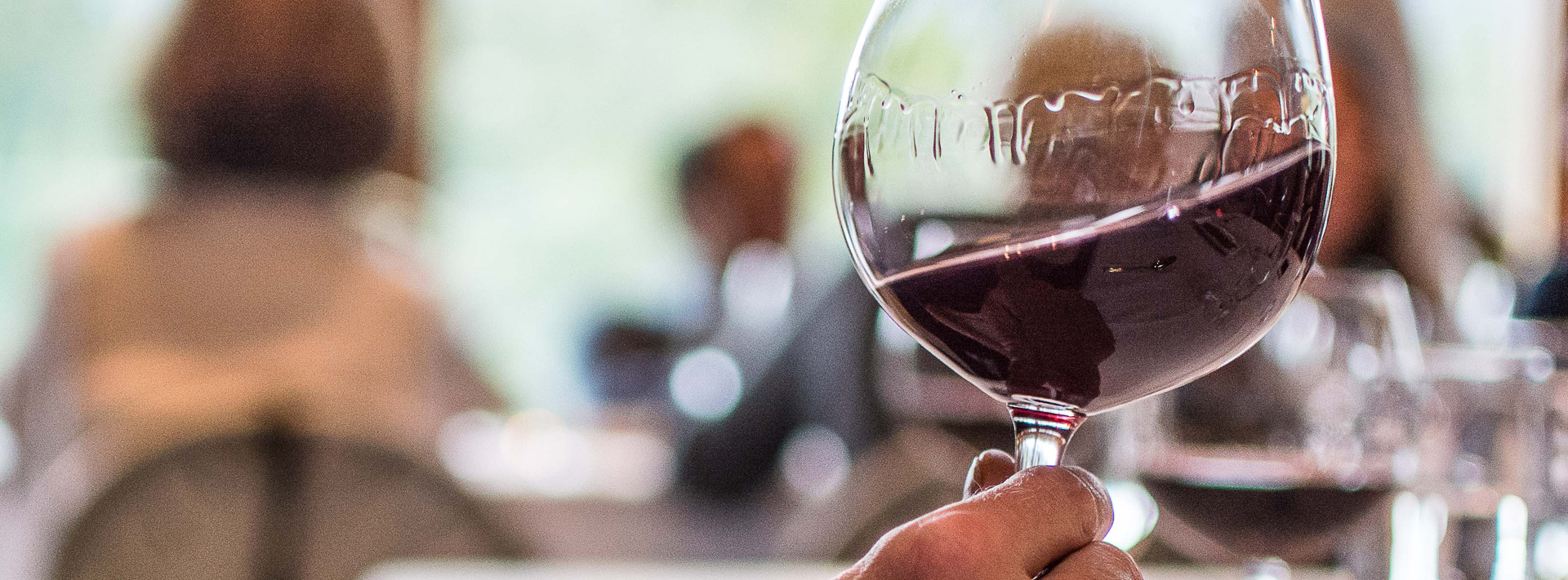 Drink Seminar: Exploring Napa Cabernet from Valley to Peak