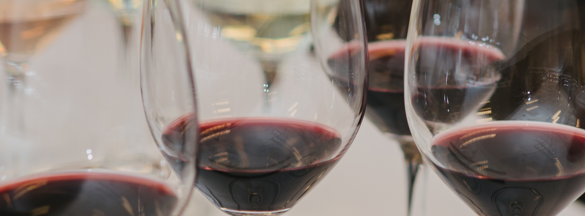 Drink Seminar: Slice Advice: Pizza Pizzazz Drink Seminar: Slice Advice: Pizza Pizzazz