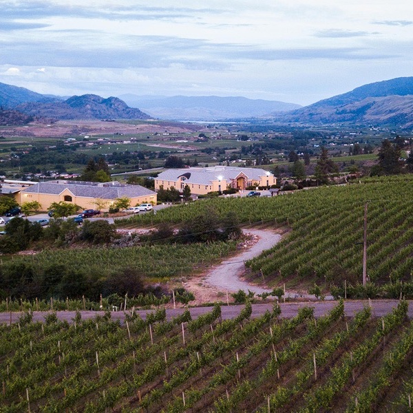 Table Nineteen: Winemakers Dinner 2024 BC's Best Sommelier Tours Okanagan