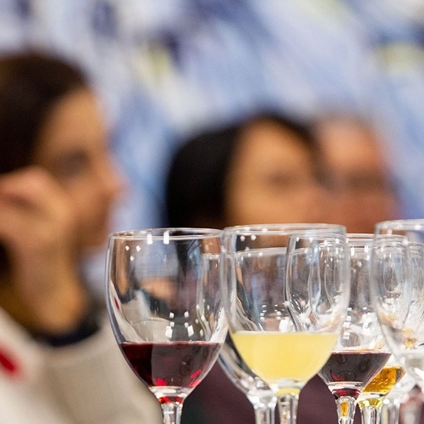 Drink Seminar: Drink Like a Somm: The Great Wine Myths