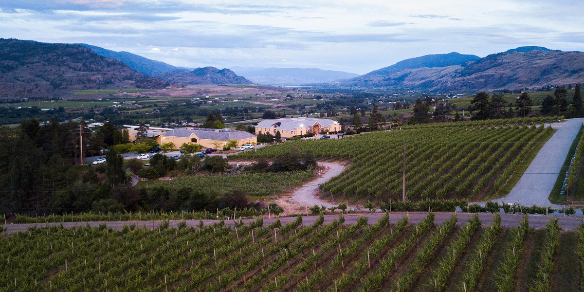 Table Nineteen: Winemakers Dinner 2024 BC's Best Sommelier Tours Okanagan